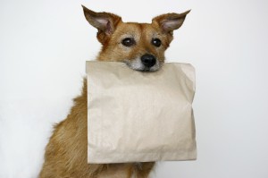 Maybe Lassie's Willing to share Her Alpo