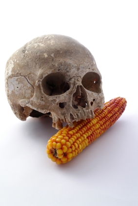 Genetically modified food
