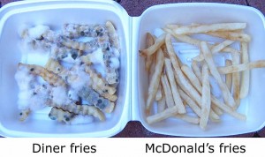 french fries 300x178 12 Year old McDonalds Burger Shows No Sign of  Decay  