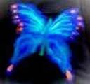 100 Foodies on Twitter Chinkerfly 100 Foodies on Twitter